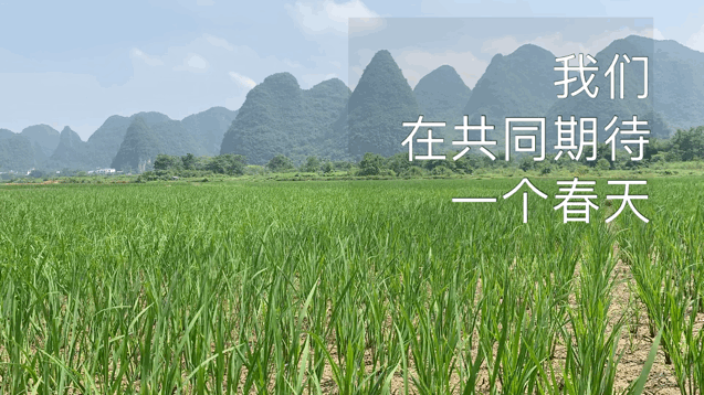 微信图片_20200320140025.gif 微信图片_20200320140025.gif