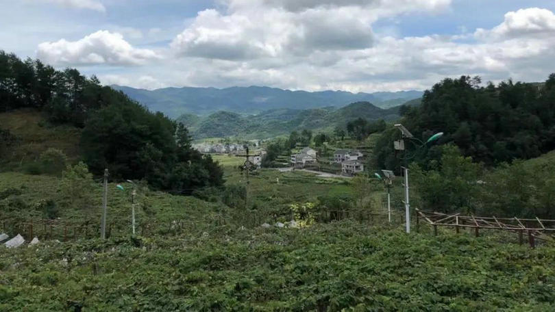 微信图片_20210730104747.jpg 微信图片_20210730104747.jpg