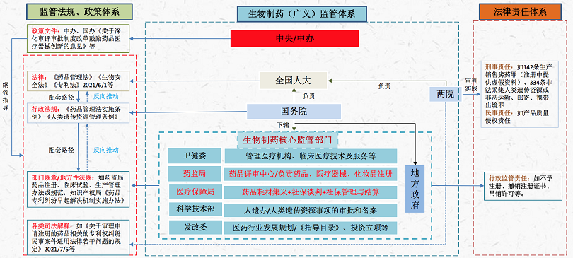 上配图之生物制药监管体系.png