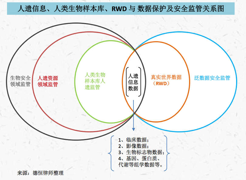 下配图之RWE与人遗数据等关系.png